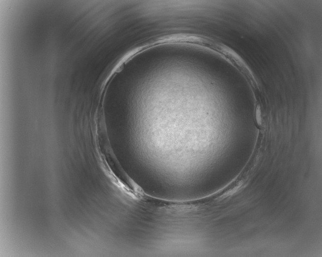 X0000060560860200511070946