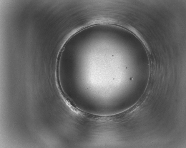 X0000060560861200511070946