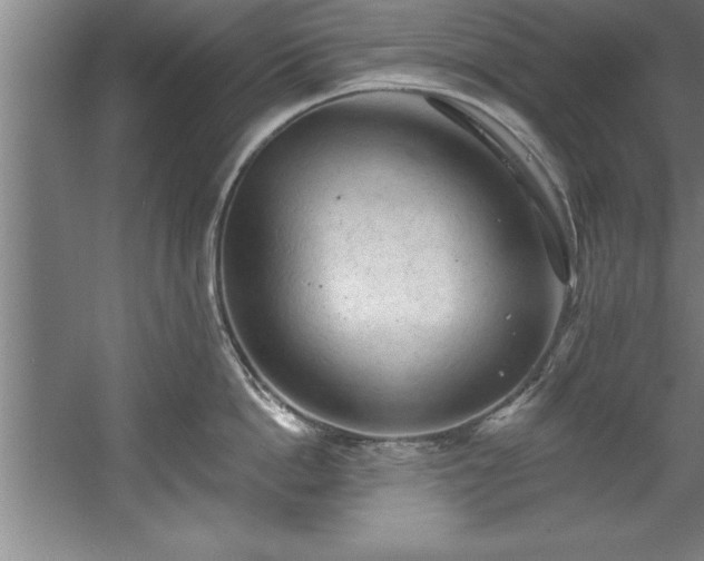 X0000060560862200511070946