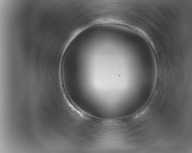 X0000060560863200511070946