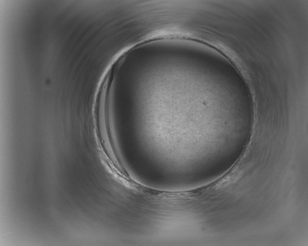 X0000060560864200511070946