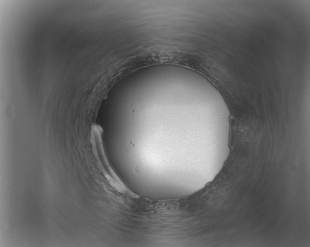 X0000060560865200511070945