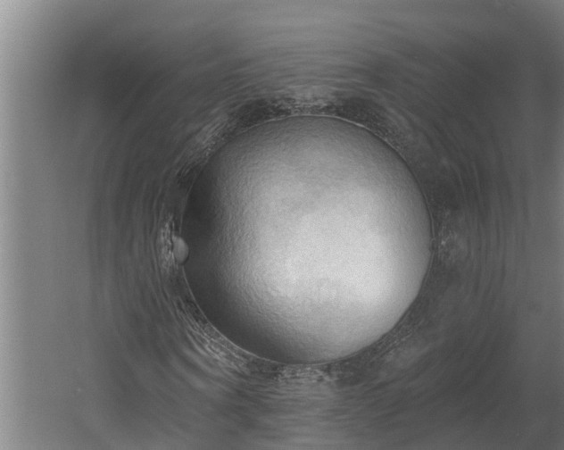 X0000060560866200511070945