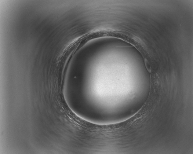 X0000060560872200511070945