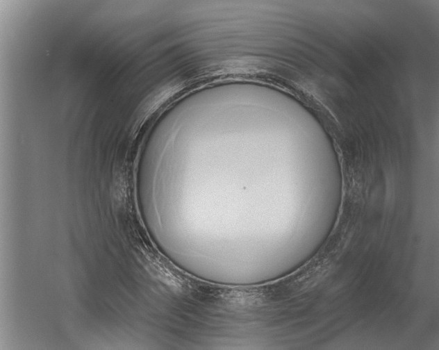 X0000060560874200511070945