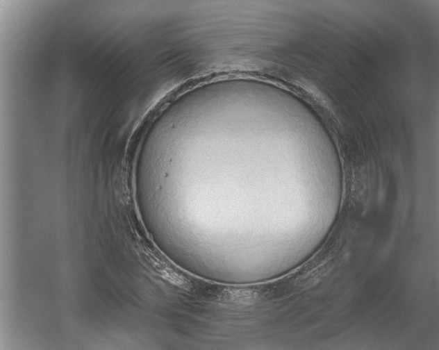 X0000060560878200511070945