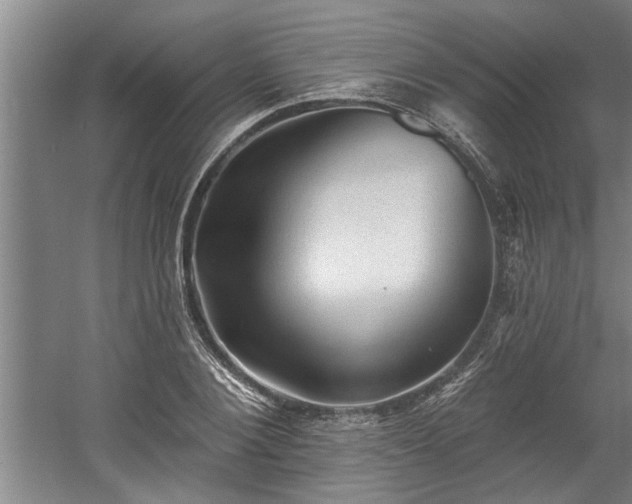 X0000060560884200511070945