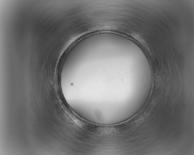 X0000060560886200511070945