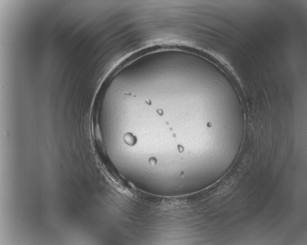 X0000060560887200511070945