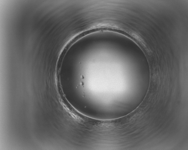 X0000060560888200511070945