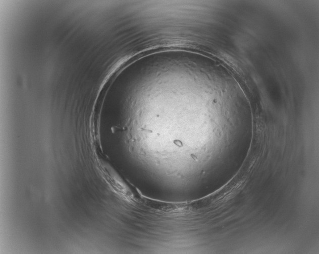 X0000060560891200511070944