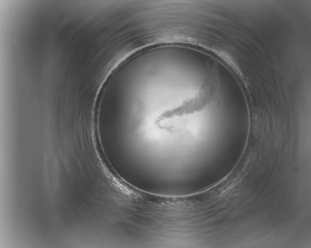 X0000060560895200511070944