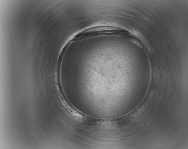 X0000060560896200511070944