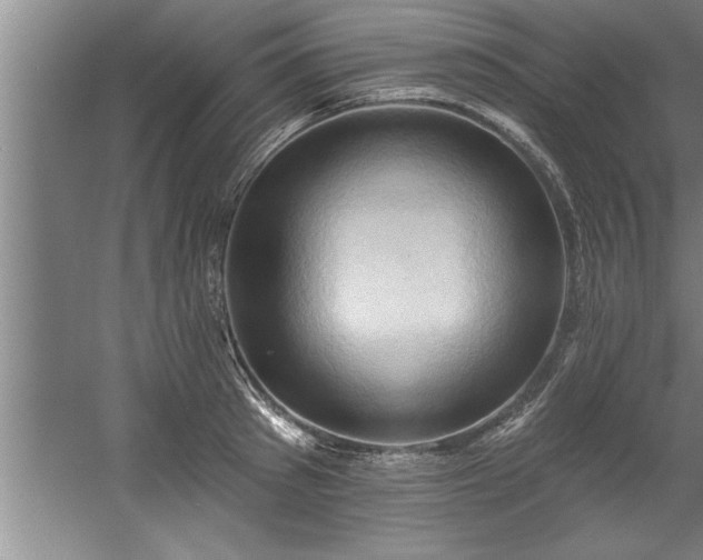 X0000060560897200511070944