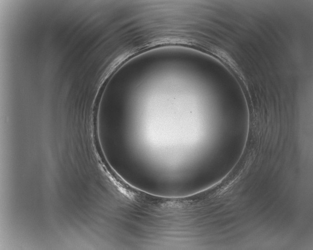 X0000060560898200511070944