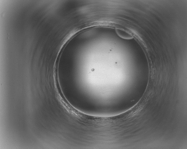 X0000060560899200511070944