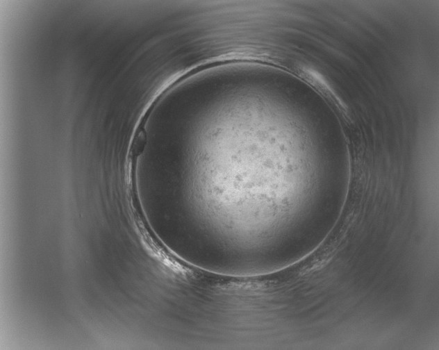 X0000060560900200511070944