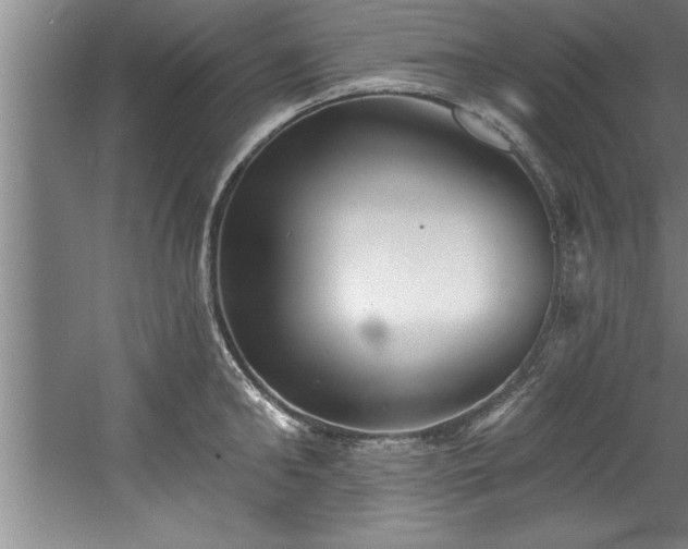 X0000060560902200511070944