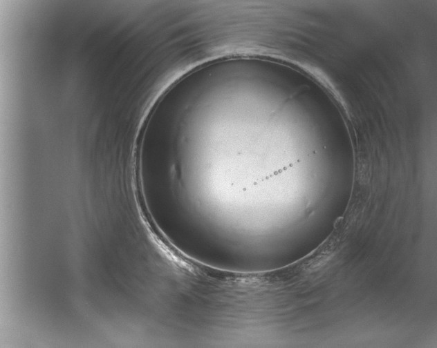 X0000060560903200511070944