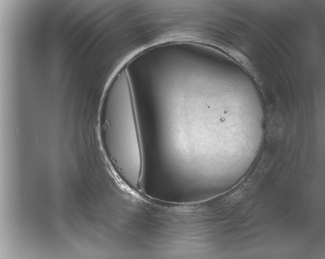 X0000060560904200511070944