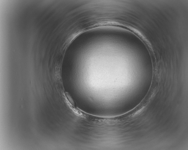 X0000060560905200511070944