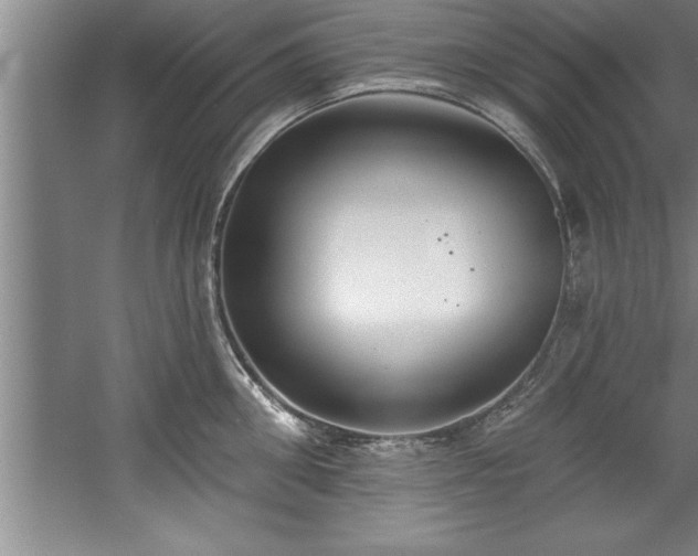 X0000060560906200511070944