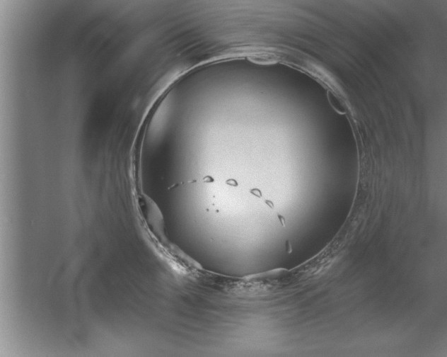 X0000060560907200511070944