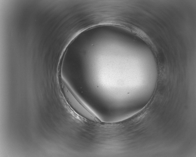 X0000060560908200511070944