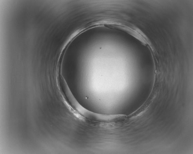 X0000060560909200511070944