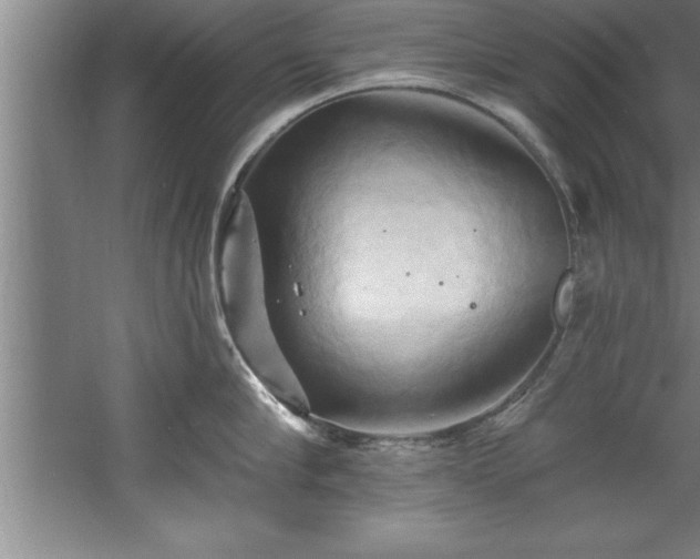 X0000060560910200511070944