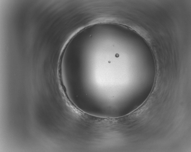 X0000060560912200511070944