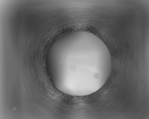 X0000060560913200511070943