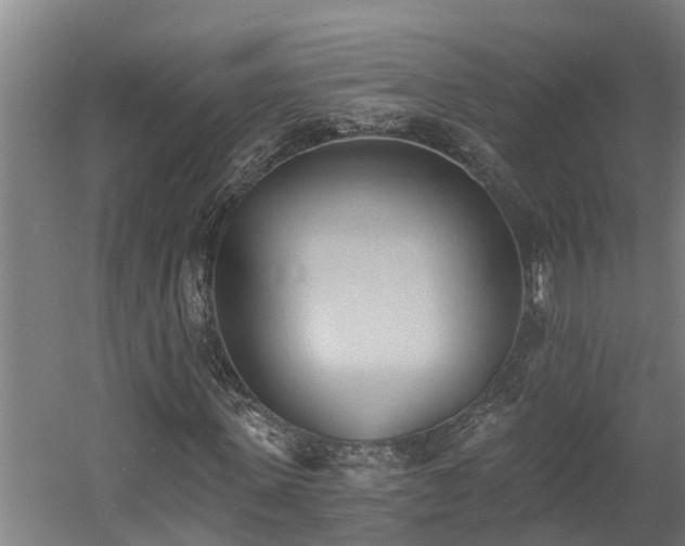 X0000060560915200511070943