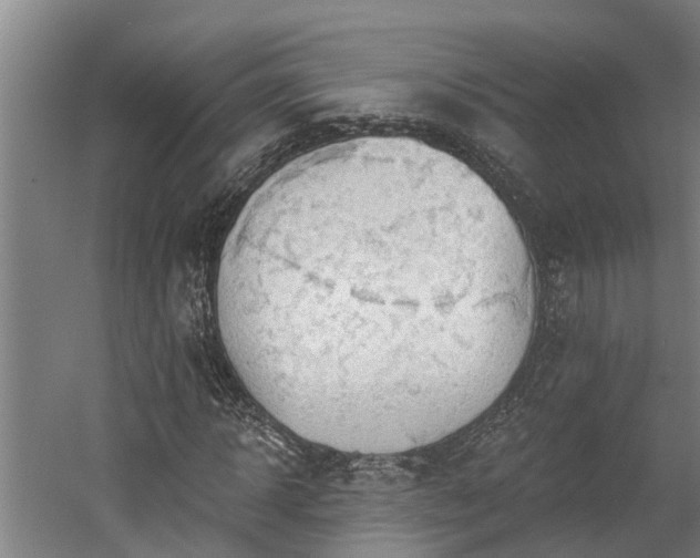 X0000060560918200511070943