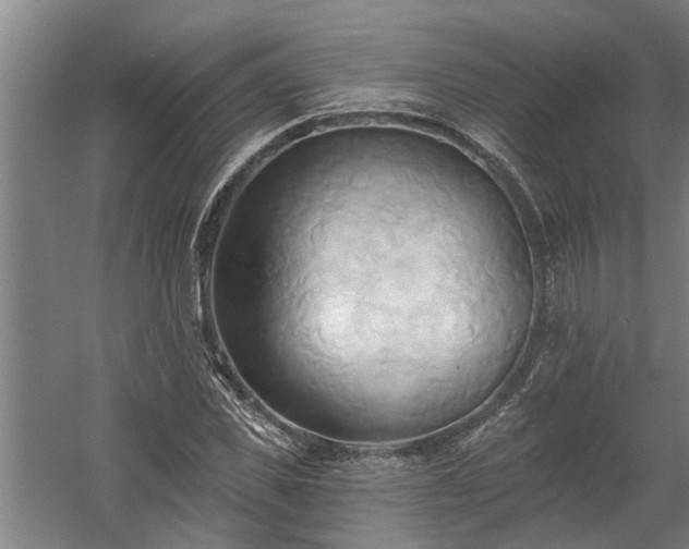 X0000060560925200511070943