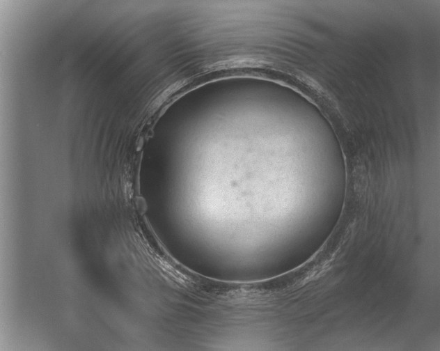 X0000060560929200511070944