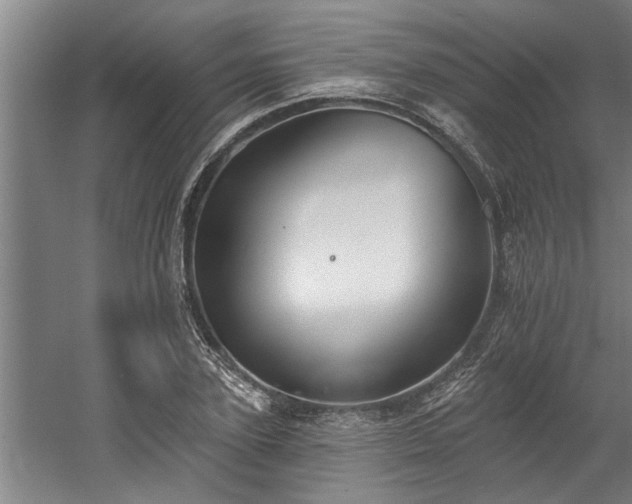 X0000060560931200511070944