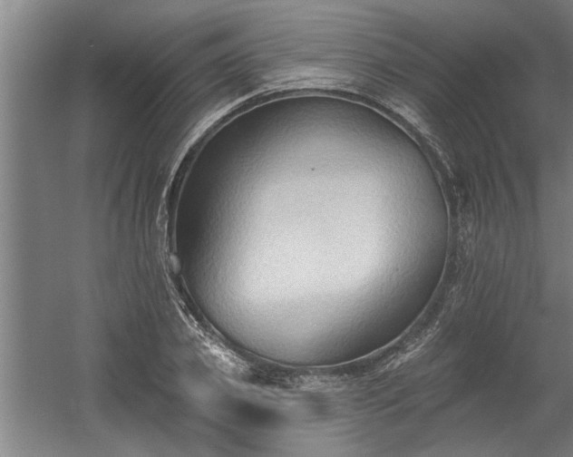 X0000060560933200511070944