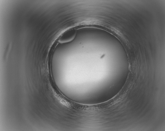 X0000060560934200511070944