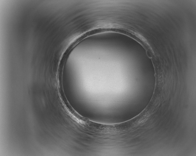 X0000060560935200511070944