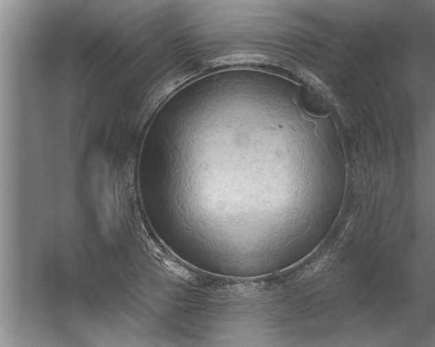 X0000060560937200511070944