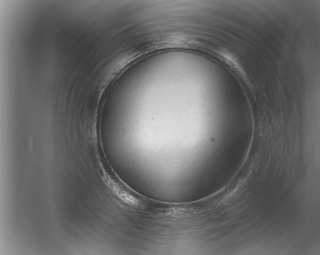 X0000060560938200511070944