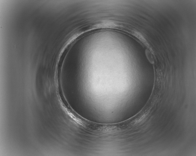 X0000060560939200511070944