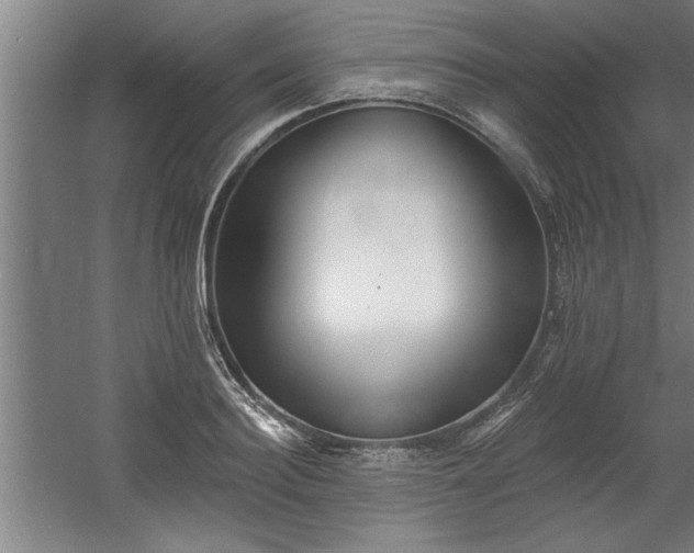 X0000060560940200511070944