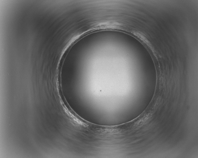 X0000060560941200511070944