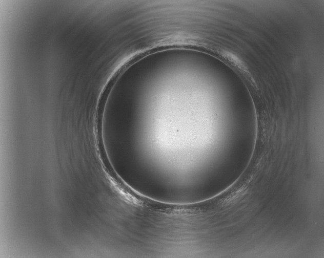 X0000060560942200511070944