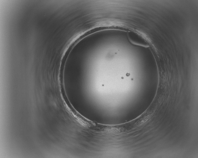 X0000060560943200511070944