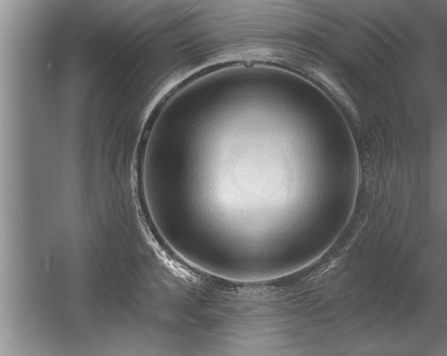 X0000060560944200511070944