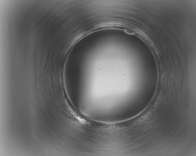 X0000060560945200511070944