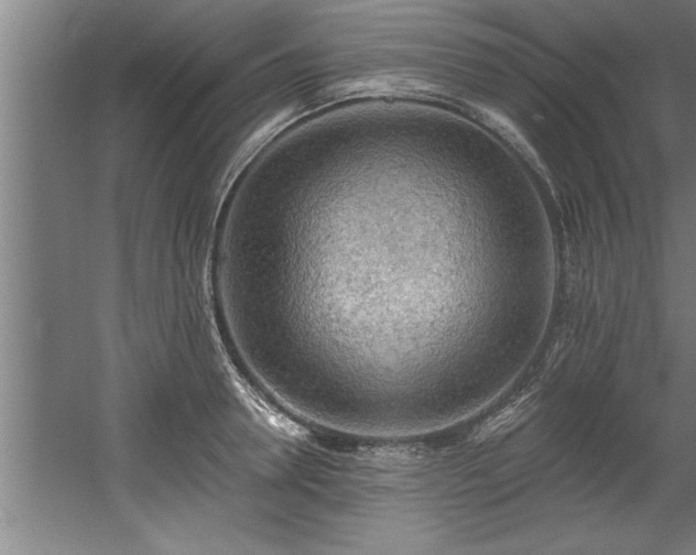 X0000060560946200511070944